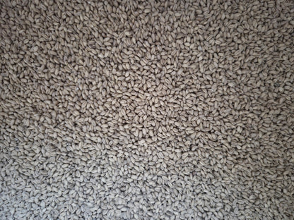 Antero Wheat Malt - 1oz