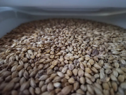 Mod Nektar Adjunct Malt - 1oz