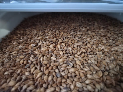 Mod Sixto Adjunct Malt - 1oz