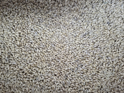 Yacht Rock Foundation Malt - 1oz